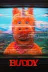 버디